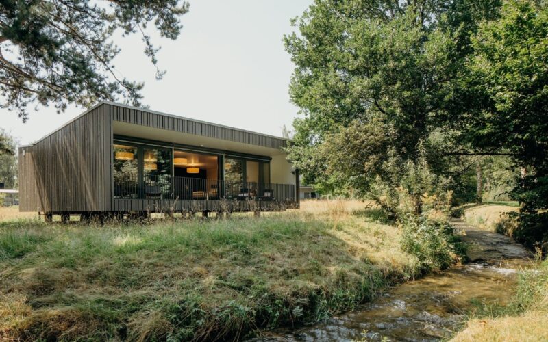 Natur pur: Seminar im Park vom Schloss Hünigen Konolfingen